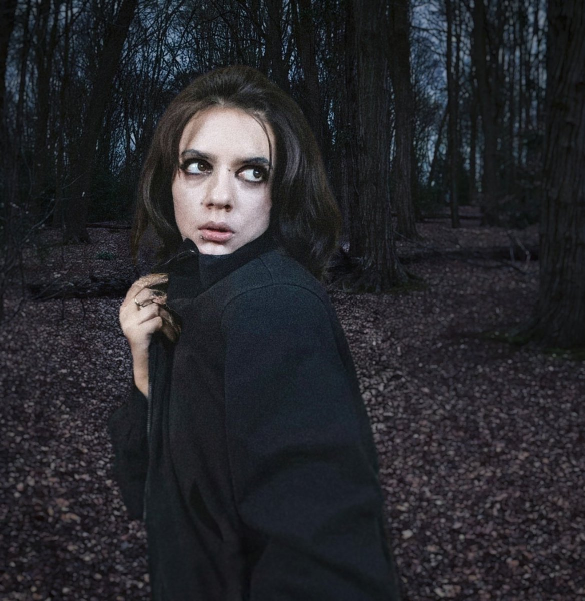 afitalis's tweet photo. You never know what you'll find walking through the woods 🪾
#goth #dark https://t.co/ZgQe0jyGKK