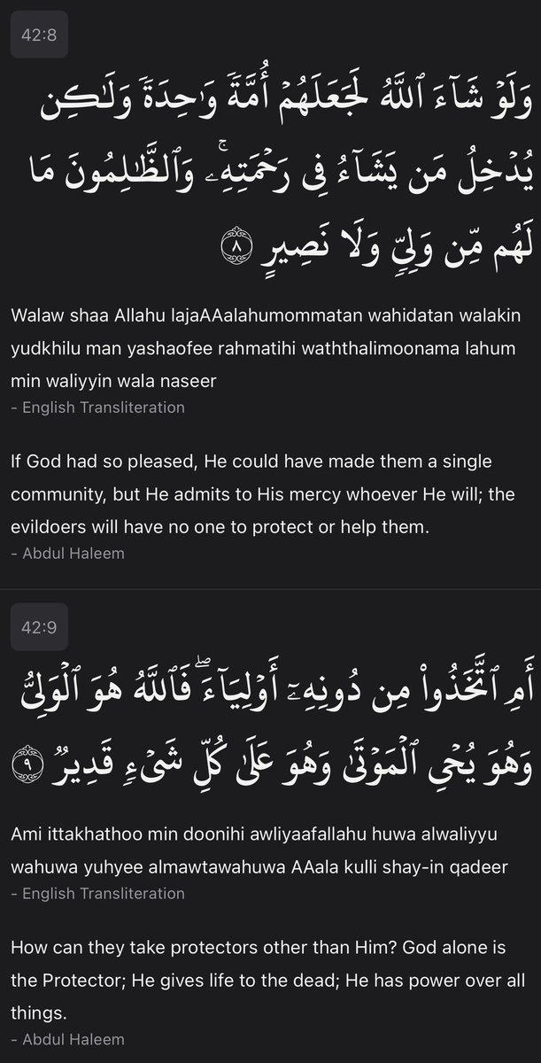 ShahnoorWMalik's tweet photo. Bismillah - we begin with the 42nd Surah

Surah Ash-Shura, Verses 1-9 https://t.co/wueWcFWV11