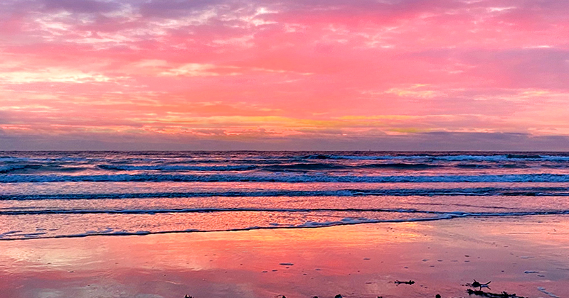 tropicalitytrvl's tweet photo. Pic of the Night…Reawakening 💗🧡💛🧡💗
https://t.co/fTapSTkOrR
#sunrisers #sunrise #sunrisephotography #beach https://t.co/mA0FikZaB2