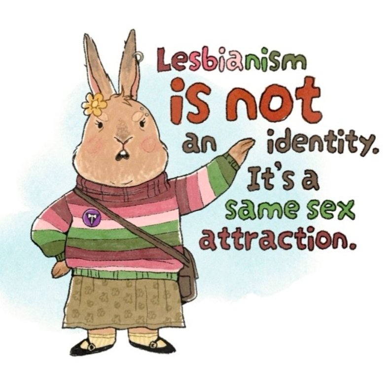 radical_jam_'s tweet photo. The irony is:
my bunny girl // bunny girl by trans activist https://t.co/JoqhRHBUdl