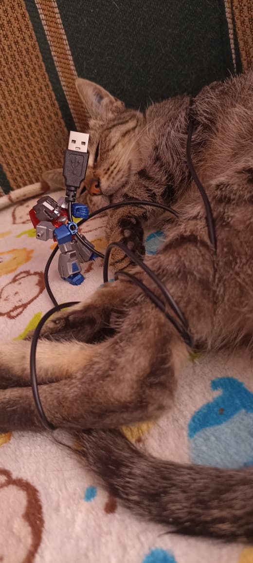 BaltoRK_63's tweet photo. Domador de bestias. 😼

#transformers #starscream #cat https://t.co/81jgR2XS9U