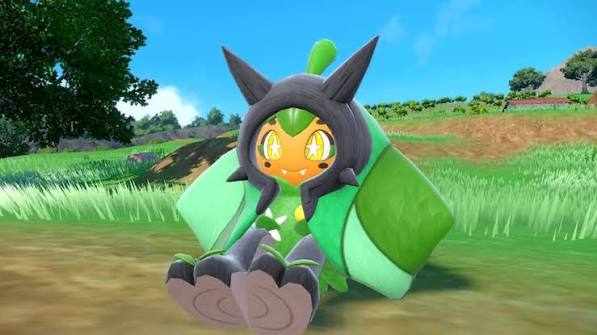 ShockRox2319's tweet photo. @amagicmantv My favorite is Ogerpon :> https://t.co/5Lj38hZAvr