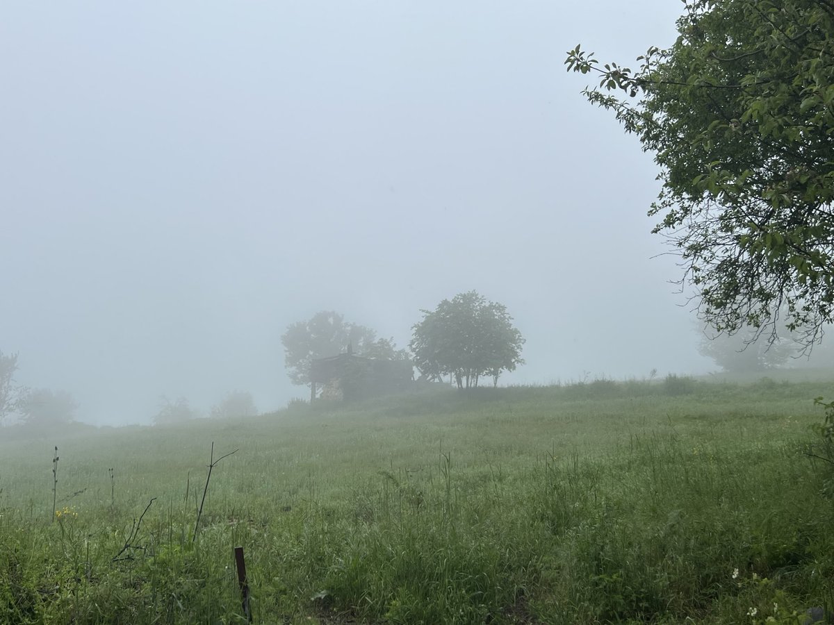 mud_dauber's tweet photo. Silent Karabük… You promised you’d take me there again someday https://t.co/7iPV5qMwbr