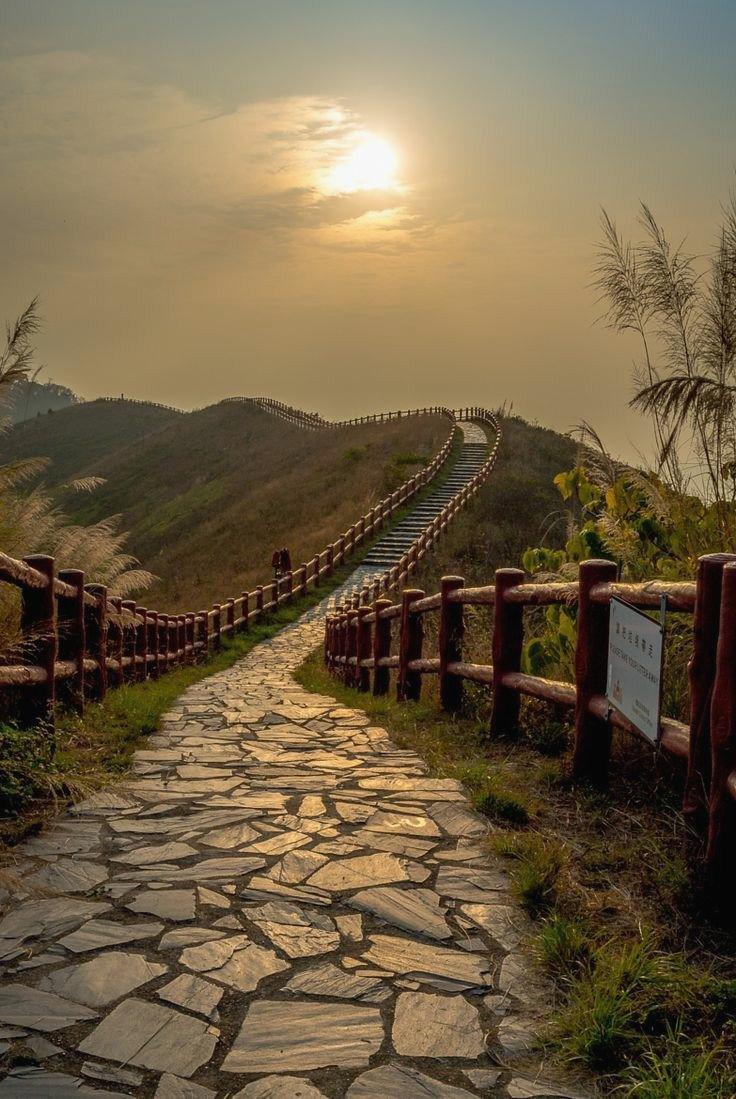 JerrySabri15912's tweet photo. Every sunrise is another chance to become better.10yybb 🎊 🧢 🌹 https://t.co/n8oVW9w4G3