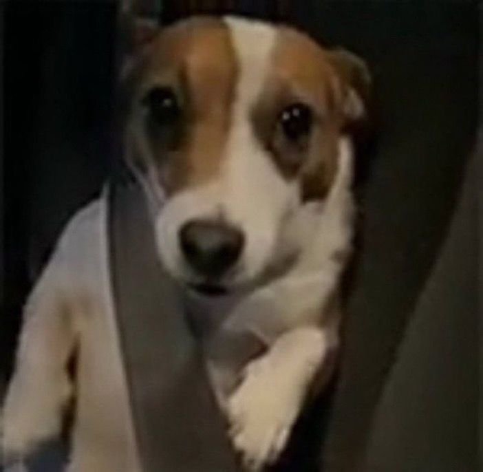 that_aless's tweet photo. Yo que les he contado tanto de mis aventuras anteriores. ¿Les llegué a decir que una vez me ofrecieron dinero por mi ropa interior? https://t.co/LCAshWiSQR