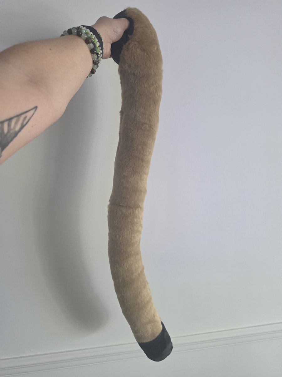 renstfs's tweet photo. Cougar tail :3 ears incoming https://t.co/q64GPSECHD