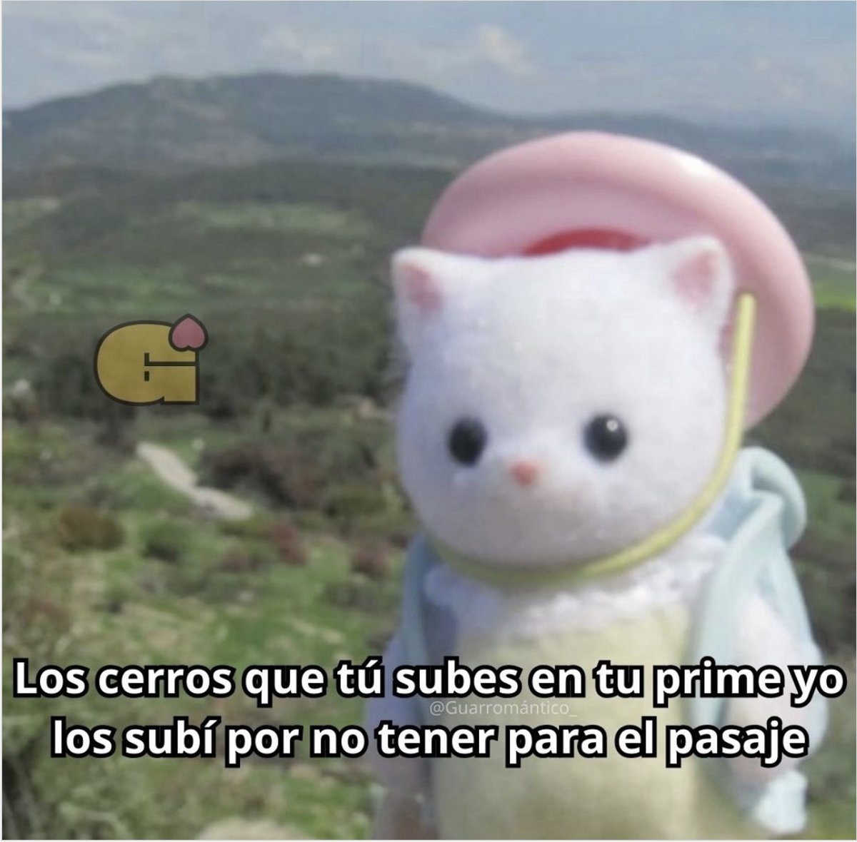 Guarromantico_'s tweet photo. Asies. https://t.co/DCWHcCn3hs