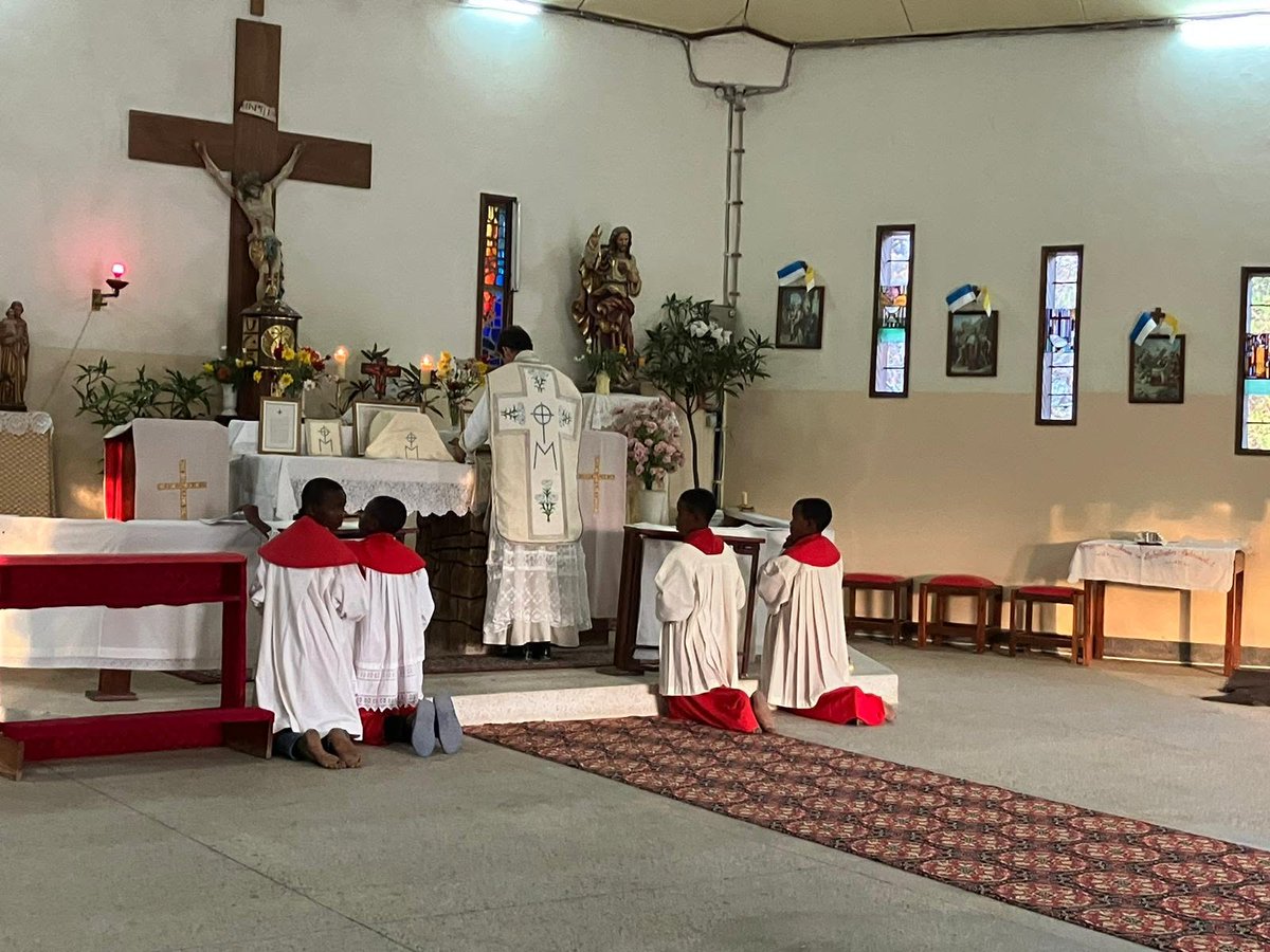 joaosilveiraaa's tweet photo. In Tanzania, during the week, depending on the timetable, I can have as many as 300 faithful at Mass or none at all. But there was a boy who began asking to serve at the altar. His name is Gaspar. Happy every day, in a red cassock, surplice and bare feet. During Mass he answers in a shy but sure Latin. Outside it he speaks Swahili and rudimentary English.

A few days later he brought a friend, Pedro. Another day there were already three. Then there were already four serving at the altar and three watching how it is done. Holy Mass attracts the youngest, the most innocent. And serving at the altar is a school of vocations.