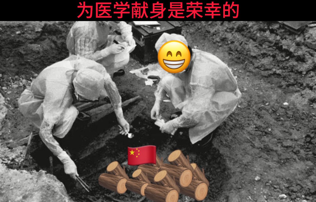 longlive_mzx's tweet photo. @porkrzxe 但是我还是觉得老英雄更好，可以榨干马路大最后的医学价值 https://t.co/7dPnJFol6K