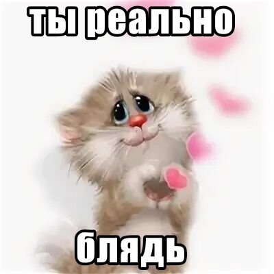 3gsdyf's tweet photo. Сфигали мне не приходят уведомления когда кто то лайкает или подписывается, это так должно быть или только у меня такой прикол? https://t.co/sQLnaeewvK