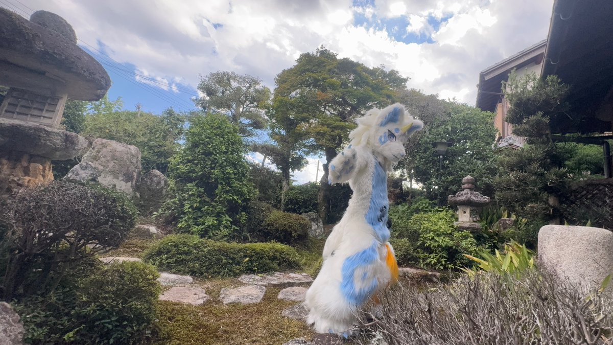 DNT721kcal's tweet photo. 8月も終わっちゃうね

#ケモノをみて今週もがんばりマンデー https://t.co/0kyaaDE5pz