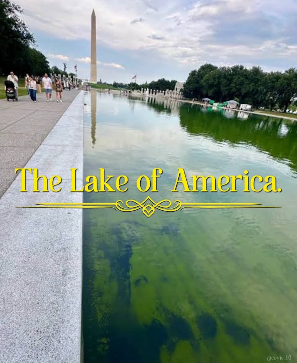 SharonSmith075's tweet photo. @TCorbettDillon Moron they put the American google maps not Canadian google maps.  We still have Lake Ontario and attached is the real Lake America https://t.co/8md4nwKgc7