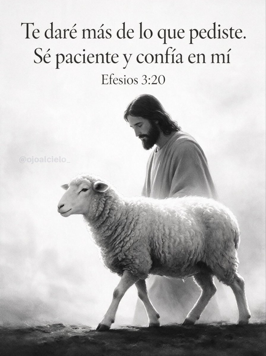 marcosandovalgo's tweet photo. https://t.co/QI8xu4xZwp