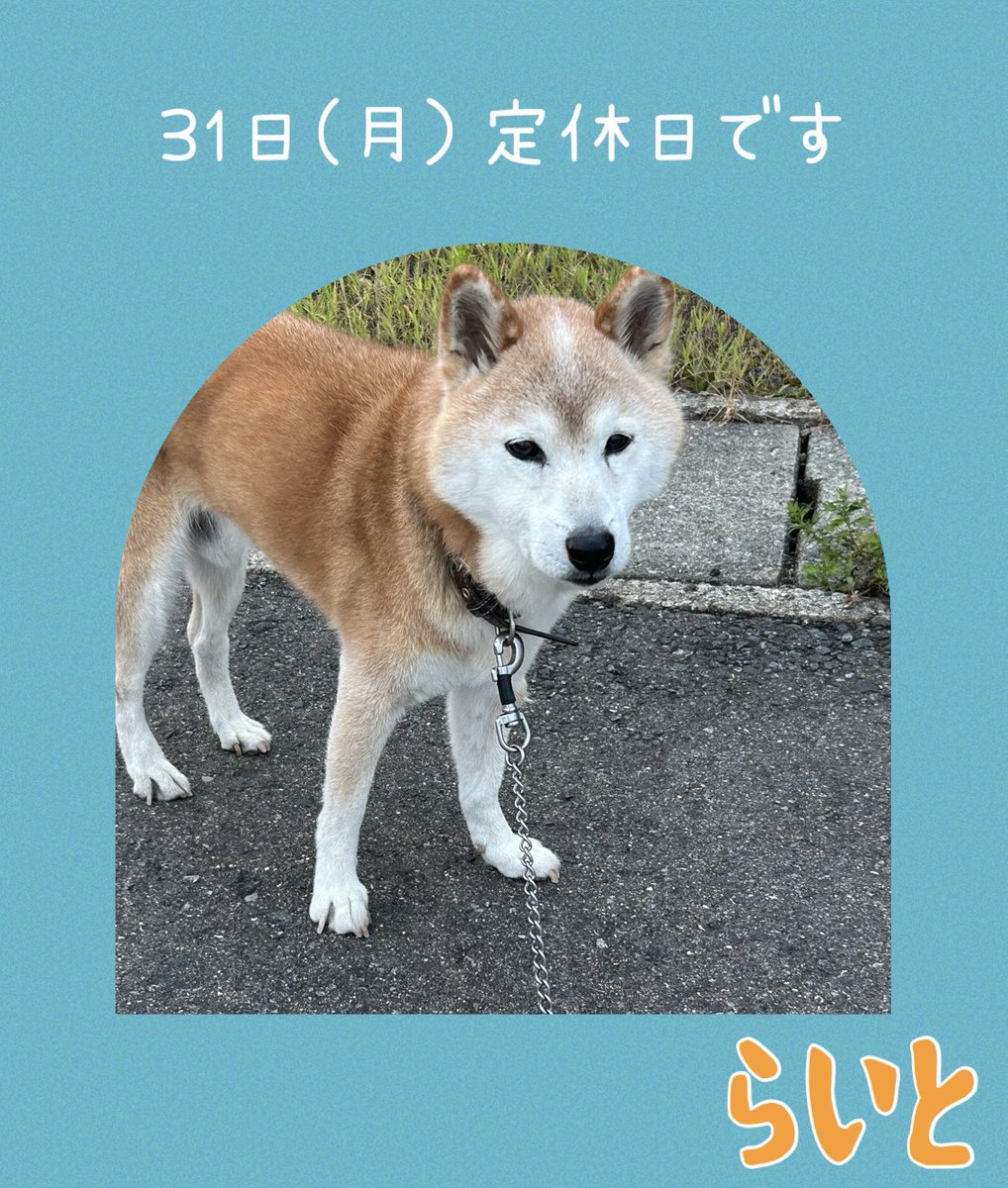 lightseitai's tweet photo. https://t.co/o8bNJJ1WBN