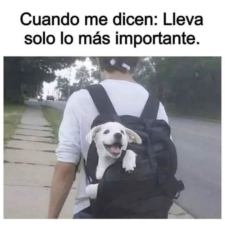 MsCiencia2's tweet photo. No hay más. XD https://t.co/LLYDLhJdxw