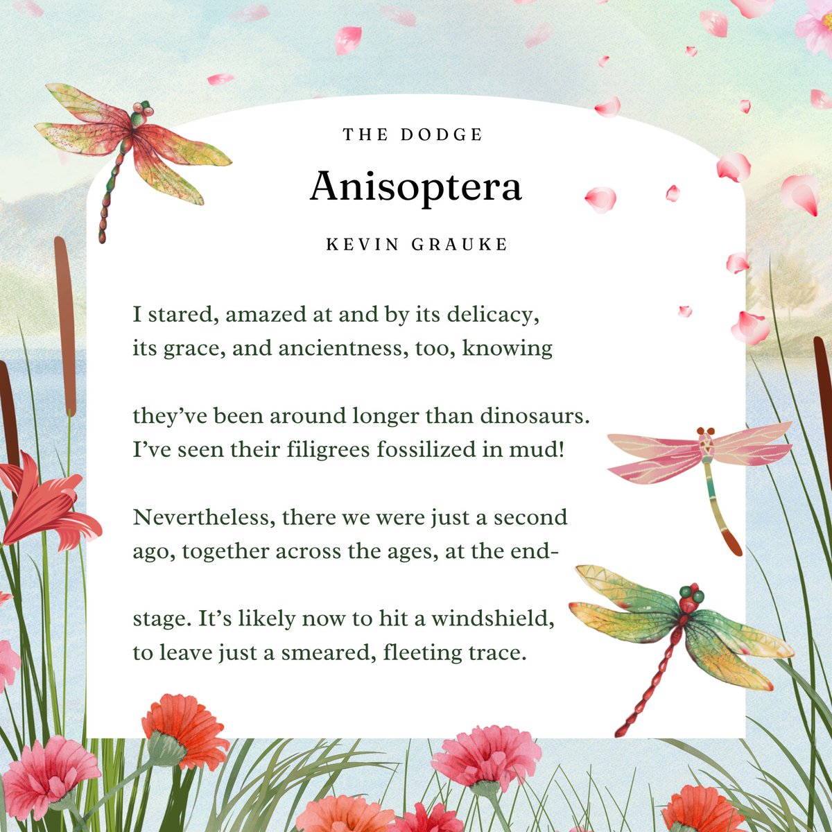 TheDodgeMag's tweet photo. Today we're excited to be featuring Kevin Grauke and his piece "Anisoptera" from our Summer 2026 Issue! Read the rest of his piece and our Issue on our website, linked in bio! https://t.co/JeC08cCboG