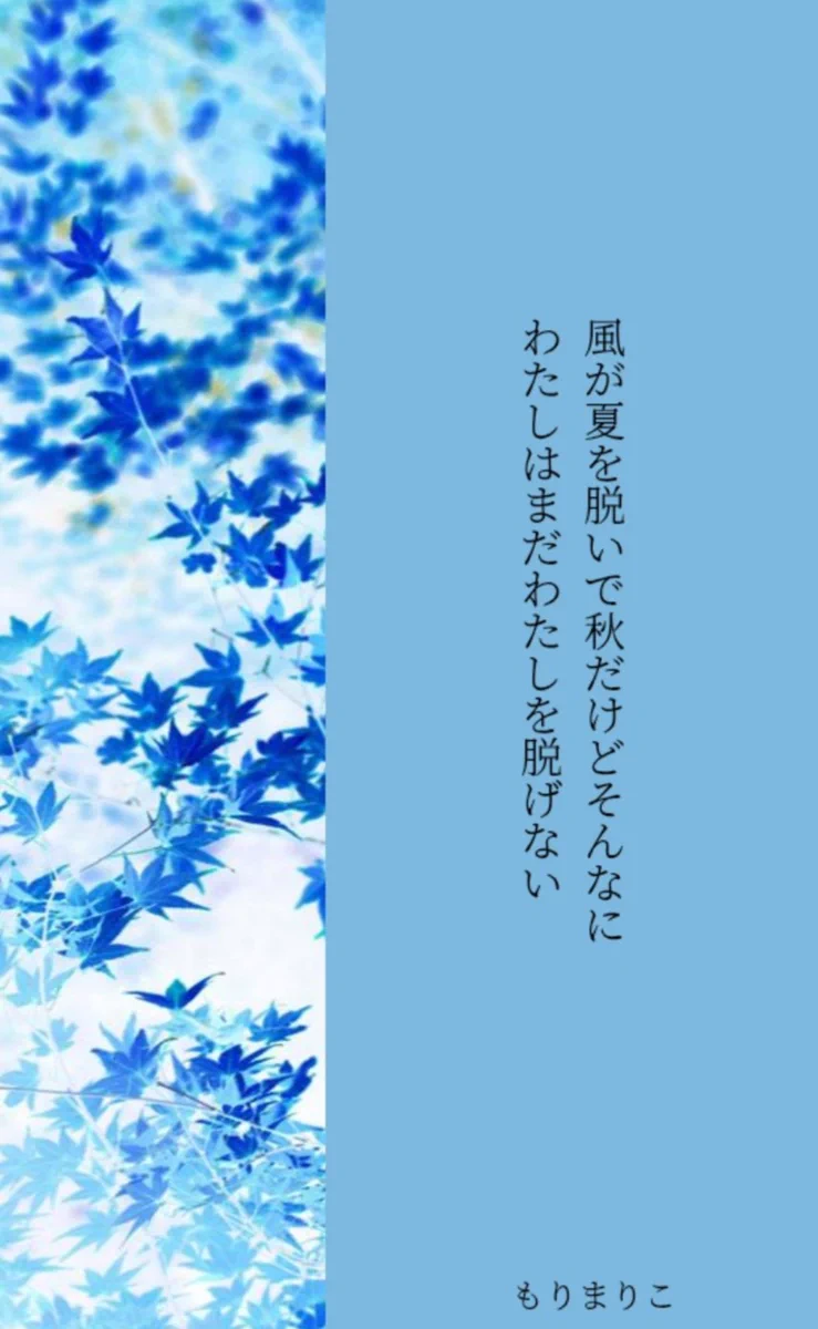 ゼロ・ゼロ・ゼロ もりまりこ 短歌 歌集 51EswGMVCsL._AC_UF350,
