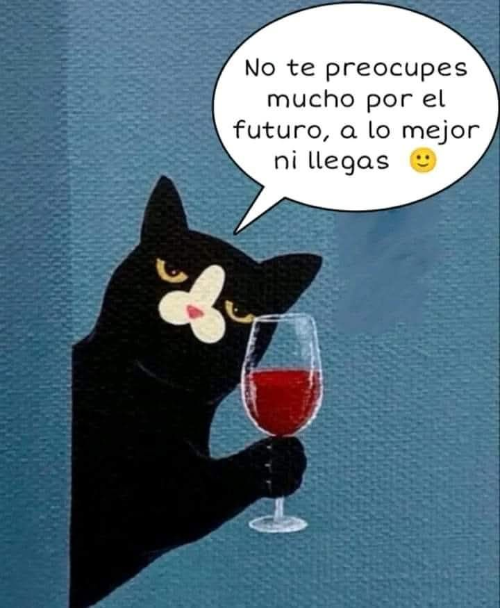 EnsedeCiencia's tweet photo. Vive el ahora. https://t.co/ruREK5PD49