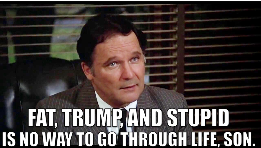 JoesephKerrr's tweet photo. @Alt4Living https://t.co/ovuX0DJz5n