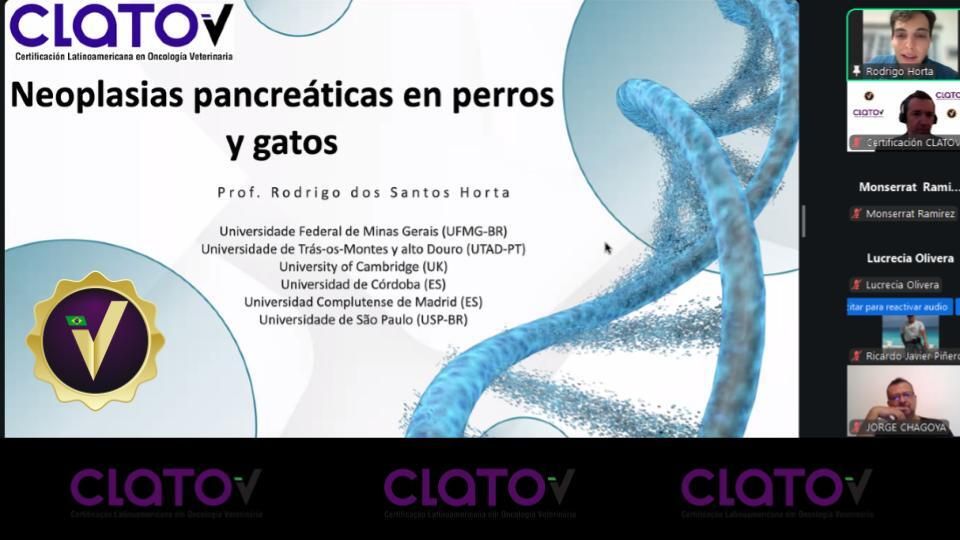 CLATOVok's tweet photo. Cierre del Módulo VIII: Tumores pancreáticos en perros y gatos. Revisión de diagnóstico, estadificación y opciones terapéuticas (médicas y quirúrgicas) con discusión de casos. https://t.co/8G1WPbqRRM