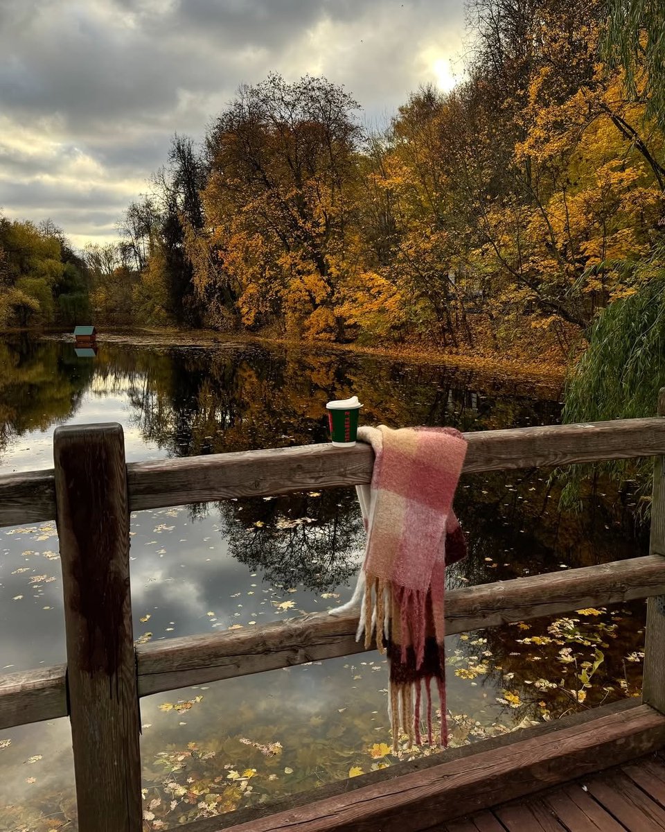 purelivn's tweet photo. autumn in just around the corner 🍂🍁 https://t.co/KUemb60M2k