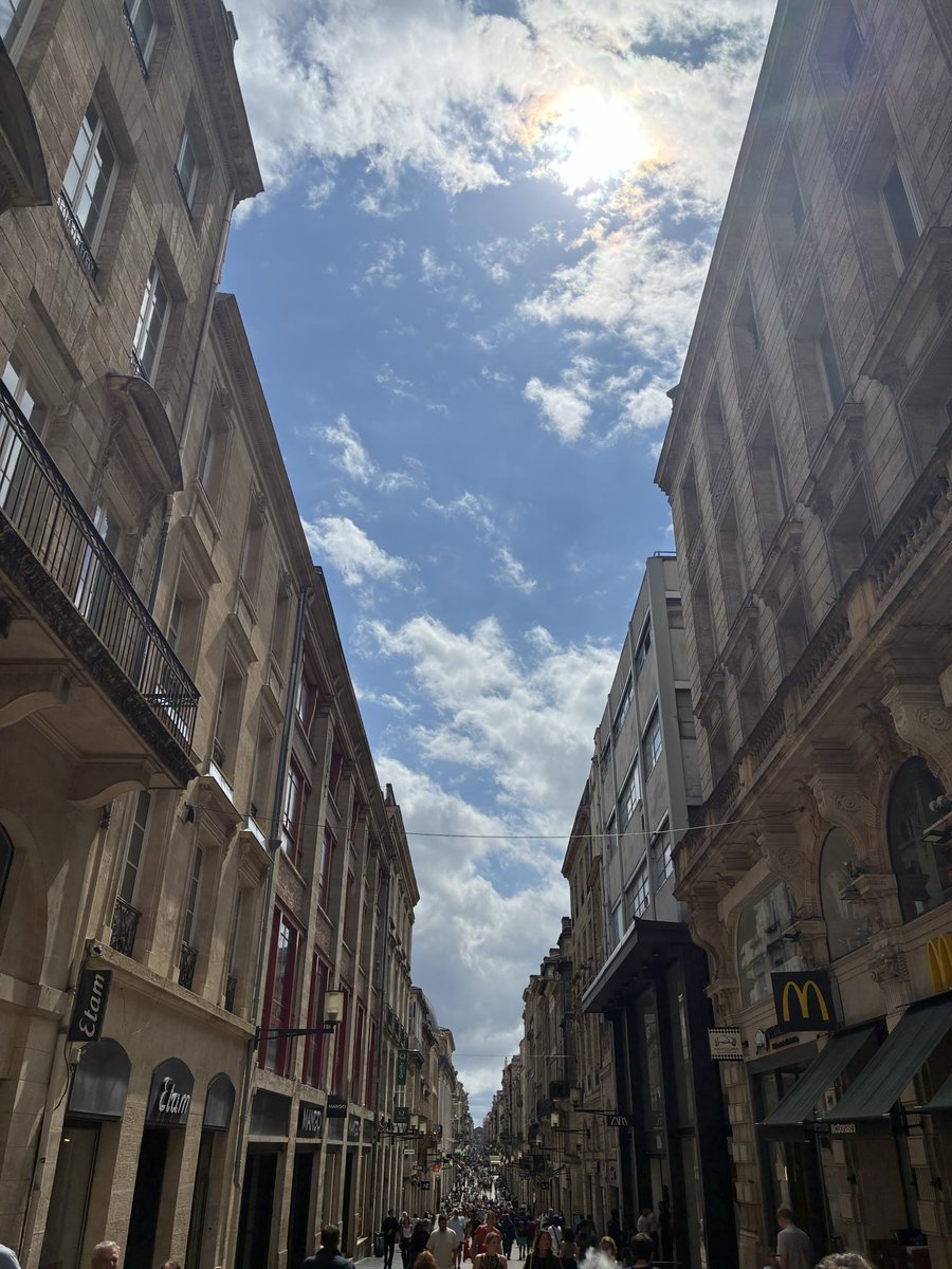 mattsun_llp's tweet photo. 🇫🇷 https://t.co/aFlr9TBfYv