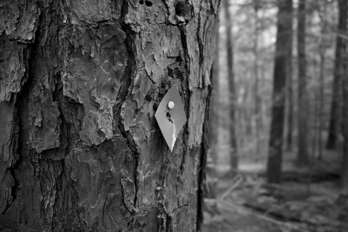ItsJustNutsss's tweet photo. Umstead State Park, Raleigh, NC.
#WendellNC
#knightdalenc
#RolesvilleNC
#ZebulonNC
#RaleighNC.
#CaryNC
#ApexNC
#HollySpringsNC
#GarnerNC
#MorrisvilleNC
#WillowSpringsNC
#WRAL
#ABC11
#CBS17 https://t.co/wMBiXaNuDh