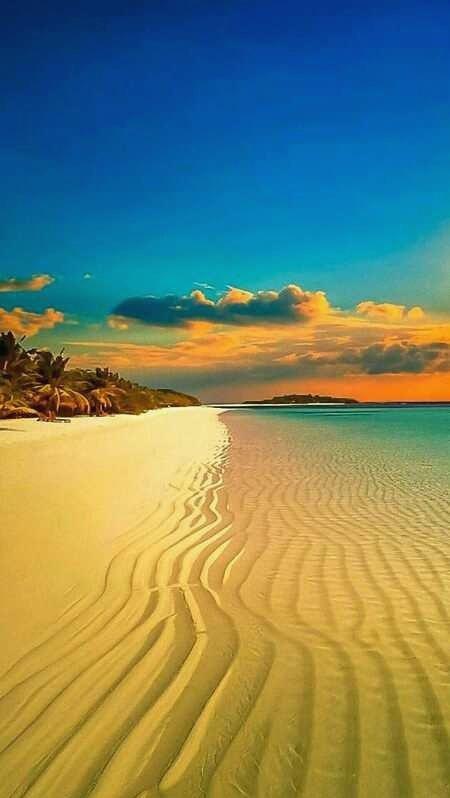 GPepys60969's tweet photo. Be the person your future self will thank.10yybb 💦 🎊 https://t.co/RUdwLCWytj