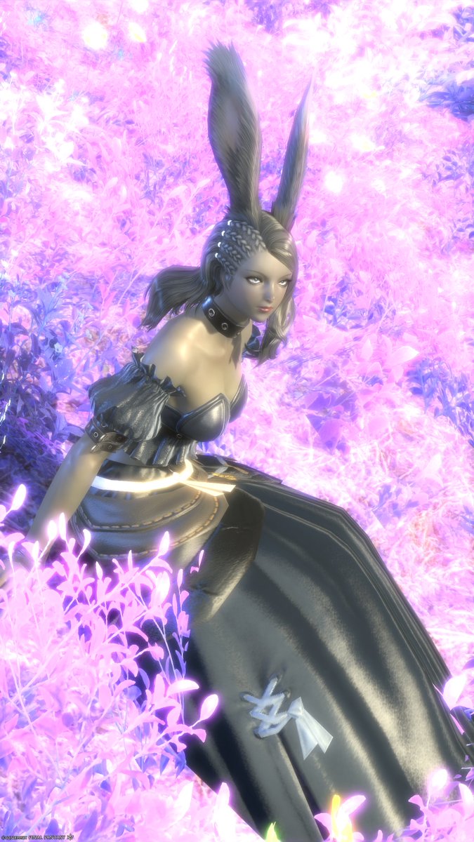 BlackLabbitFF14's tweet photo. #おはうさ #ヴィエラ #FF14 https://t.co/v5k2Bxxdhs