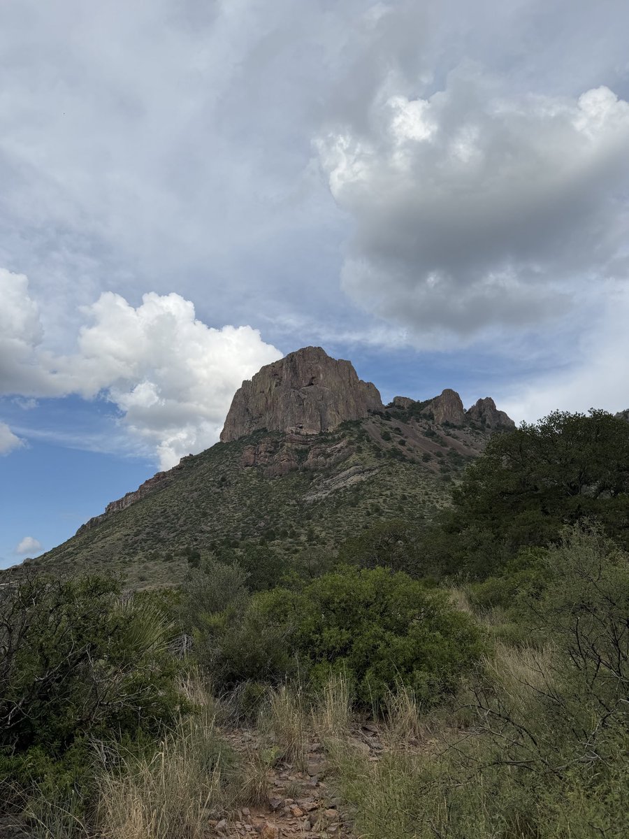 Horrocrux82's tweet photo. Big bend national park https://t.co/WYgWIhtJBc
