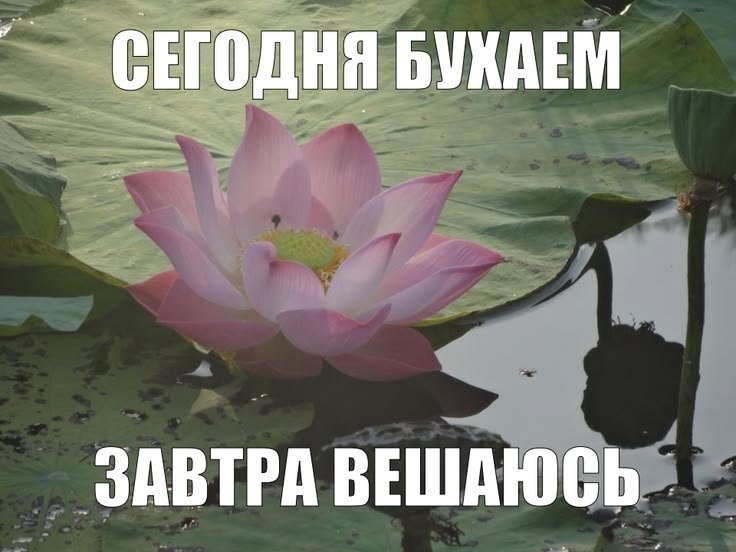 olesxii's tweet photo. сегодня был такой вайб https://t.co/nhto1aClrc
