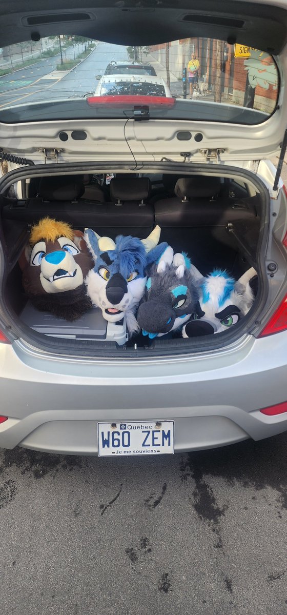 HelixDirdwolf's tweet photo. Usually you tied them up and get a closed trunk but that work too

@FantomWusky 
@Kaiko_dotter 
@dirdwolf https://t.co/izHt1TZWCY
