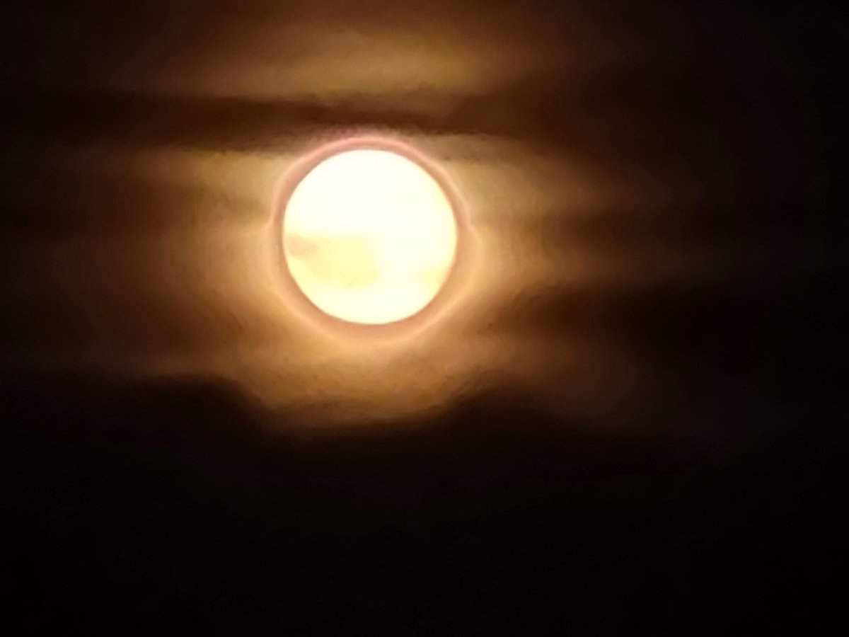 AncestralRiver's tweet photo. Photo I took of the moon on Friday evening, Aug. 28. Bold, Bright, Beautiful. That's my goal, too! What's yours? https://t.co/64WbxoVJKa