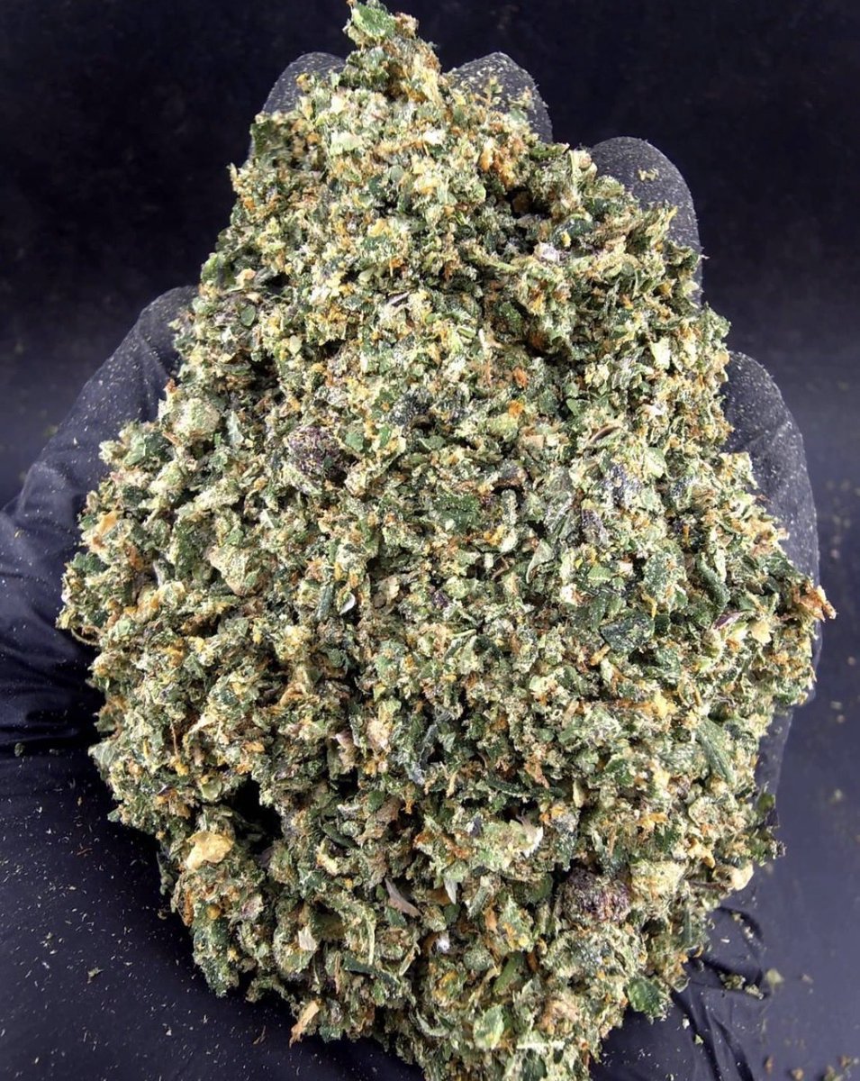Akifuckkk's tweet photo. Indoor • Powder
Hybrid THC29%

Vụn cứu cháy lên đơn từ 3G.
Thông tin ll trên Bio

3g 550K 
5g 800K
10g 1500K https://t.co/WLx9Wjo0Na