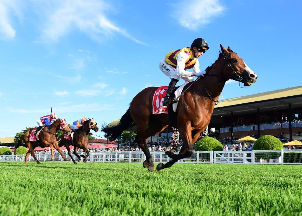 tonygollan's tweet photo. 💥TRACKSIDE WINNER OF THE WEEK 💥
Our #WinnerOfTheWeek presented by Trackside Photography is Surprise Honey.
5yo mare Surprise Honey (Extreme Choice x Bel Mer) won the Benchmark 85 Handicap over 1200m at Eagle Farm on Saturday ridden by Daniel Moor & strapped by Debbie Garcia. https://t.co/HPjJx5Dmne