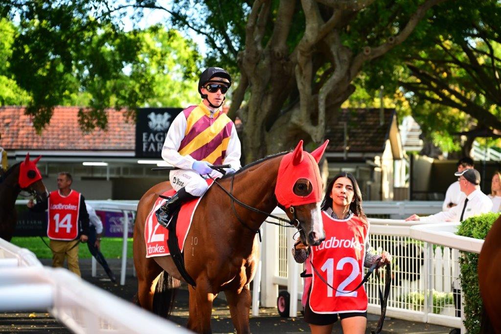 tonygollan's tweet photo. 💥TRACKSIDE WINNER OF THE WEEK 💥
Our #WinnerOfTheWeek presented by Trackside Photography is Surprise Honey.
5yo mare Surprise Honey (Extreme Choice x Bel Mer) won the Benchmark 85 Handicap over 1200m at Eagle Farm on Saturday ridden by Daniel Moor & strapped by Debbie Garcia. https://t.co/HPjJx5Dmne