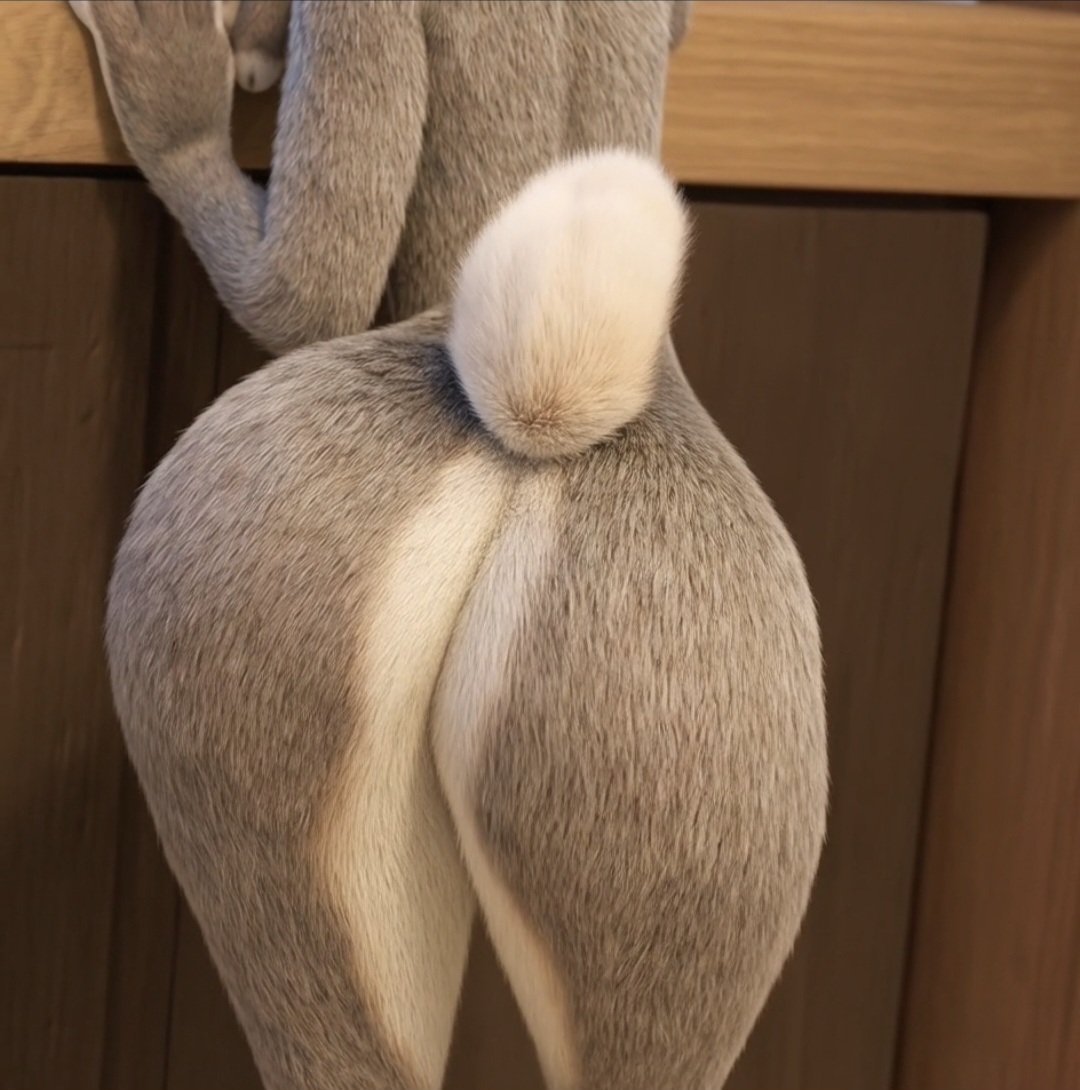 Lewd_Otter_'s tweet photo. Today's cake is... 🍰🍑

Next cook will be the same, but in video ❤️🥰 https://t.co/dB8PeICl6W