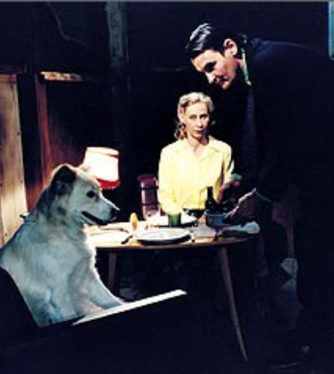 reborn2net's tweet photo. #アキ・カウリスマキ の映画にはどうして似たような犬がよく登場するのか不思議に思っていたが、皆んな監督の愛犬だった。しかもその犬たちカンヌ国際映画祭でパルム・ドッグ賞、審査員特別賞まで取っていたとは　
#枯葉　#過去のない男　#街のあかり https://t.co/y4k8qYZnM6