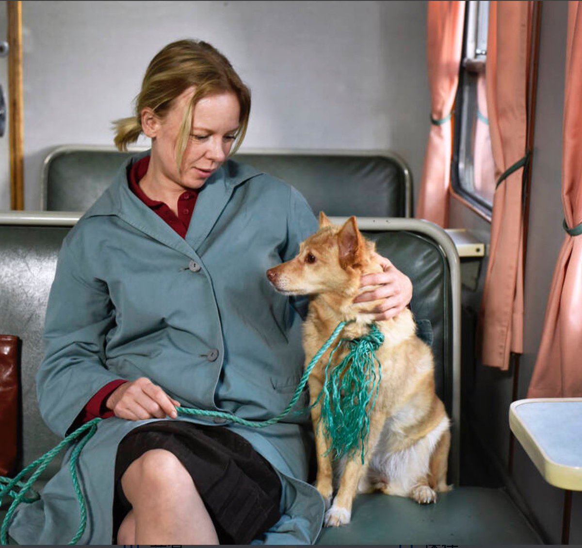 reborn2net's tweet photo. #アキ・カウリスマキ の映画にはどうして似たような犬がよく登場するのか不思議に思っていたが、皆んな監督の愛犬だった。しかもその犬たちカンヌ国際映画祭でパルム・ドッグ賞、審査員特別賞まで取っていたとは　
#枯葉　#過去のない男　#街のあかり https://t.co/y4k8qYZnM6