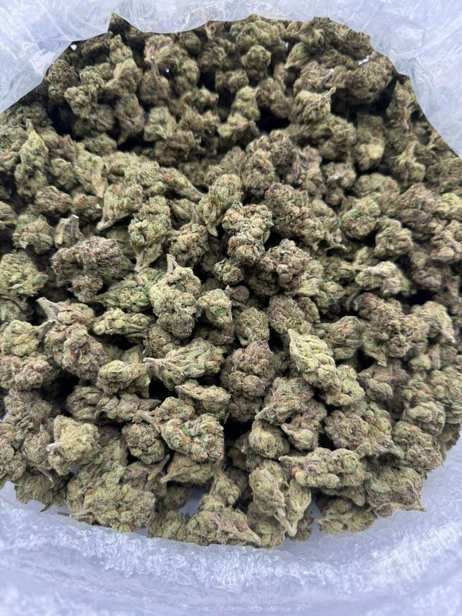 dolphin_disp_'s tweet photo. WHITE CHERRY RUNTZ
$680 https://t.co/QpIQN5hVhj