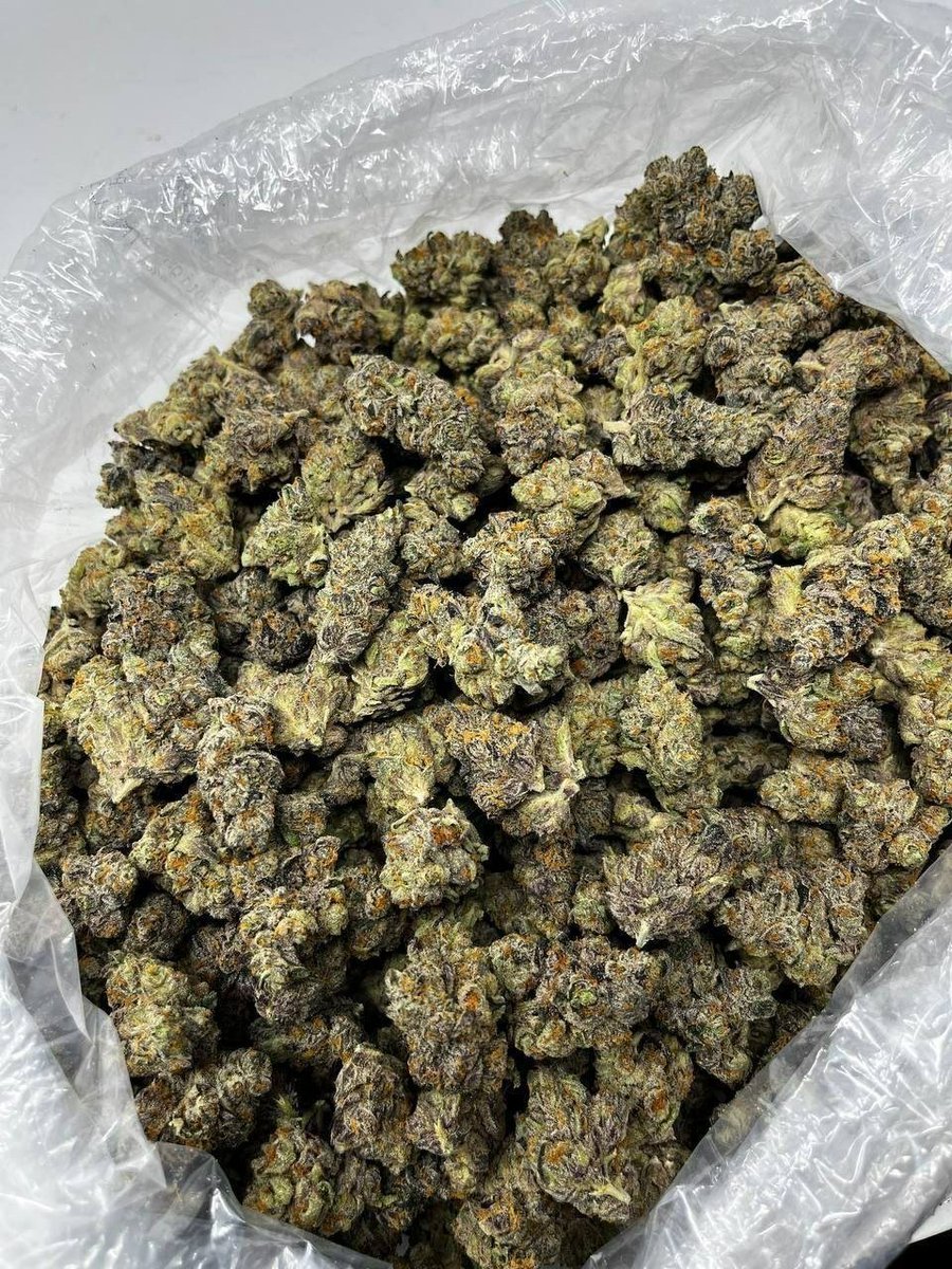 dolphin_disp_'s tweet photo. Gelato x Kushmint:

$750 https://t.co/OjGSl3wWoD