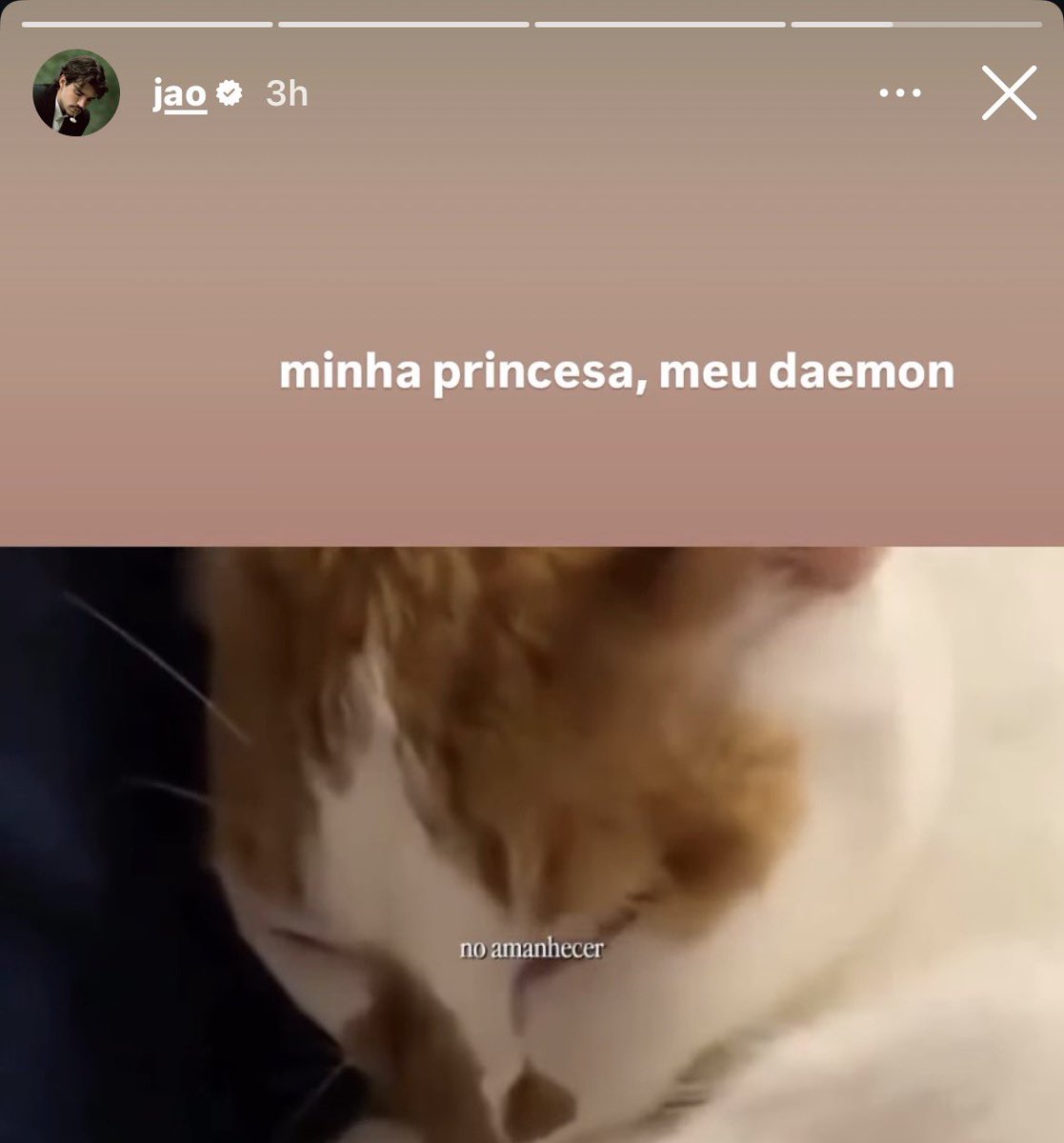 lobosdisco's tweet photo. ela deve ser tratada igual uma rainha sendo a única mulher da casa https://t.co/kTNoE1Ewye