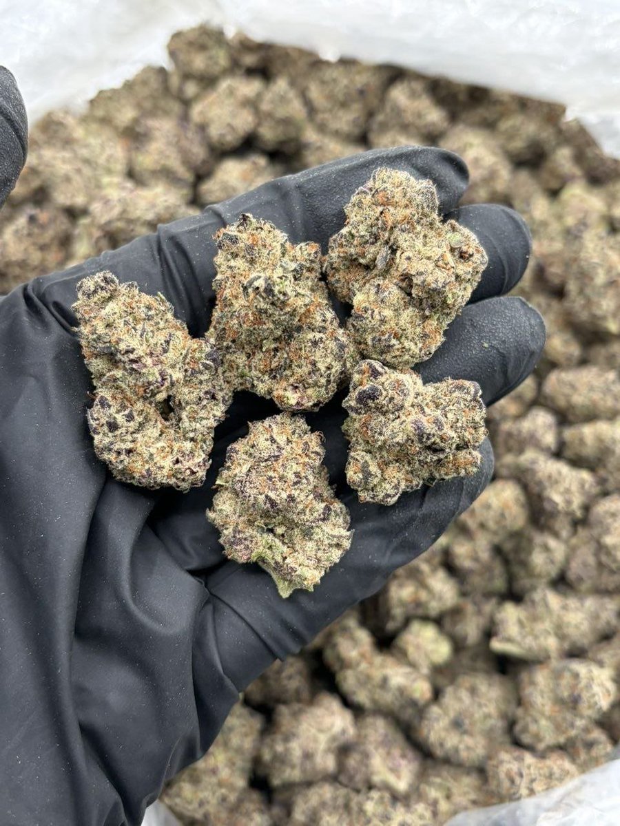 dolphin_disp_'s tweet photo. Blue ritz big 

Pound $600 https://t.co/odEeHi1wE0