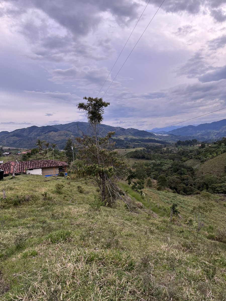 Emmanuel_car23's tweet photo. Fin de semana con un merecido descanso, y llena de aprendizajes #Jericó #Todoscabemos🌏 @GobAntioquia https://t.co/hHZg2rEa9s
