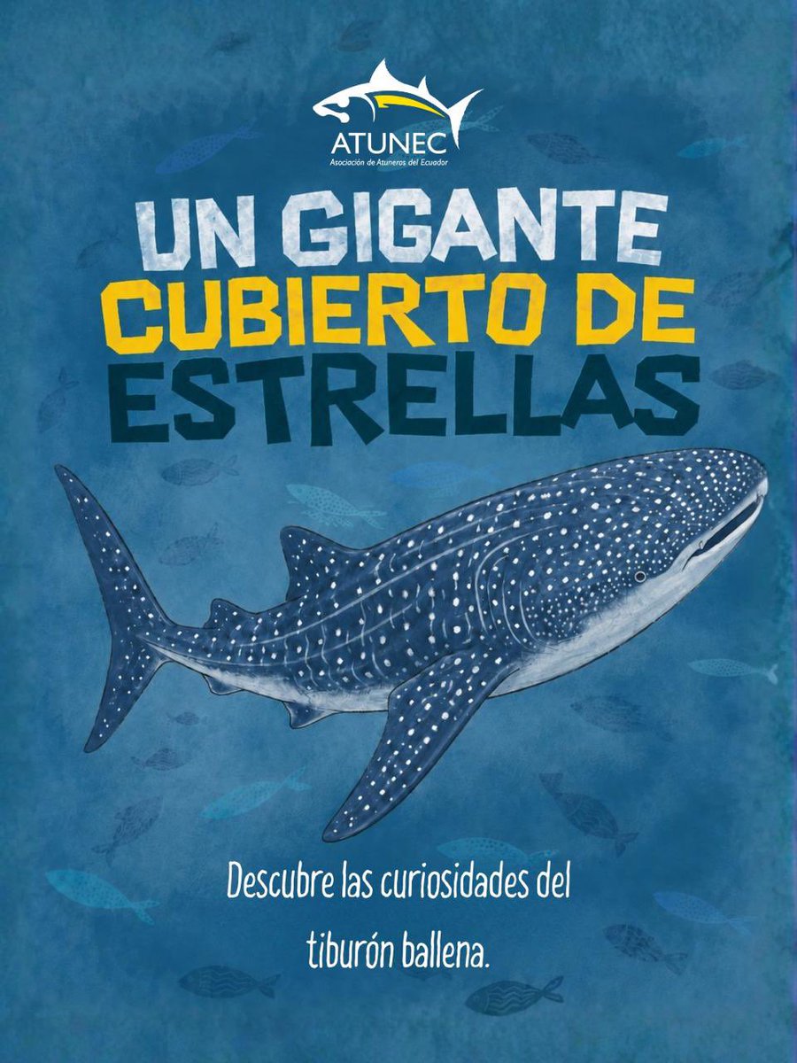 AtunecEC's tweet photo. Un gigante cubierto de estrellas recorre nuestros océanos. 🐋✨ En el Día del Tiburón Ballena, descubre las curiosidades del pez más grande del planeta y por qué protegerlo es clave para que su historia continúe navegando. 🌊💙 https://t.co/fjBiu3kZPC