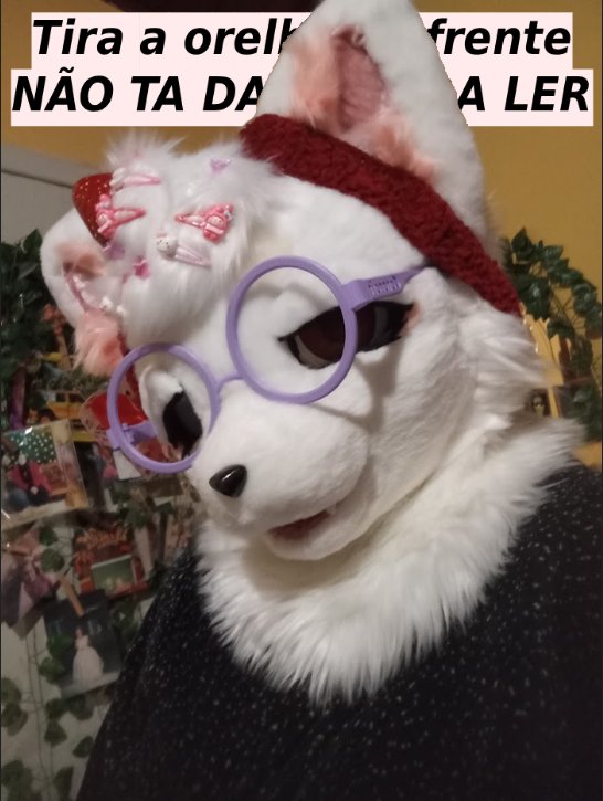 drhouse_owo's tweet photo. gato burro- #furry #fursuit https://t.co/zh9yEfiOxk