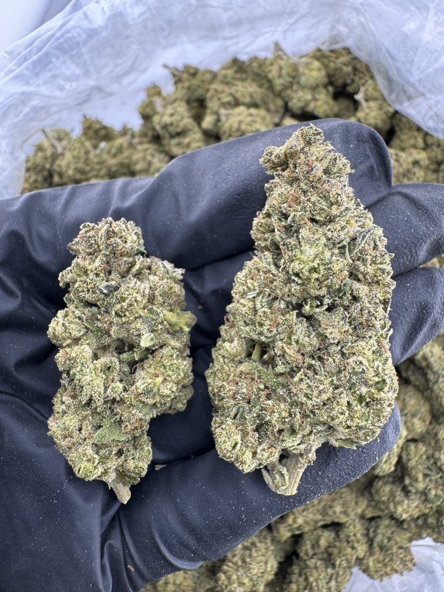 dolphin_disp_'s tweet photo. Pound Cake Sherbet deps

$700 https://t.co/He61gobH33