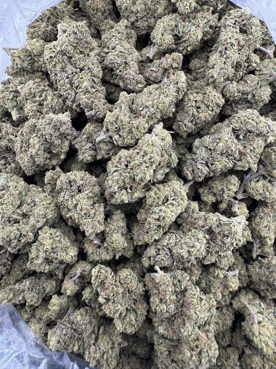 dolphin_disp_'s tweet photo. Modified Mochi deps

$750p https://t.co/kxCXd4AkuL