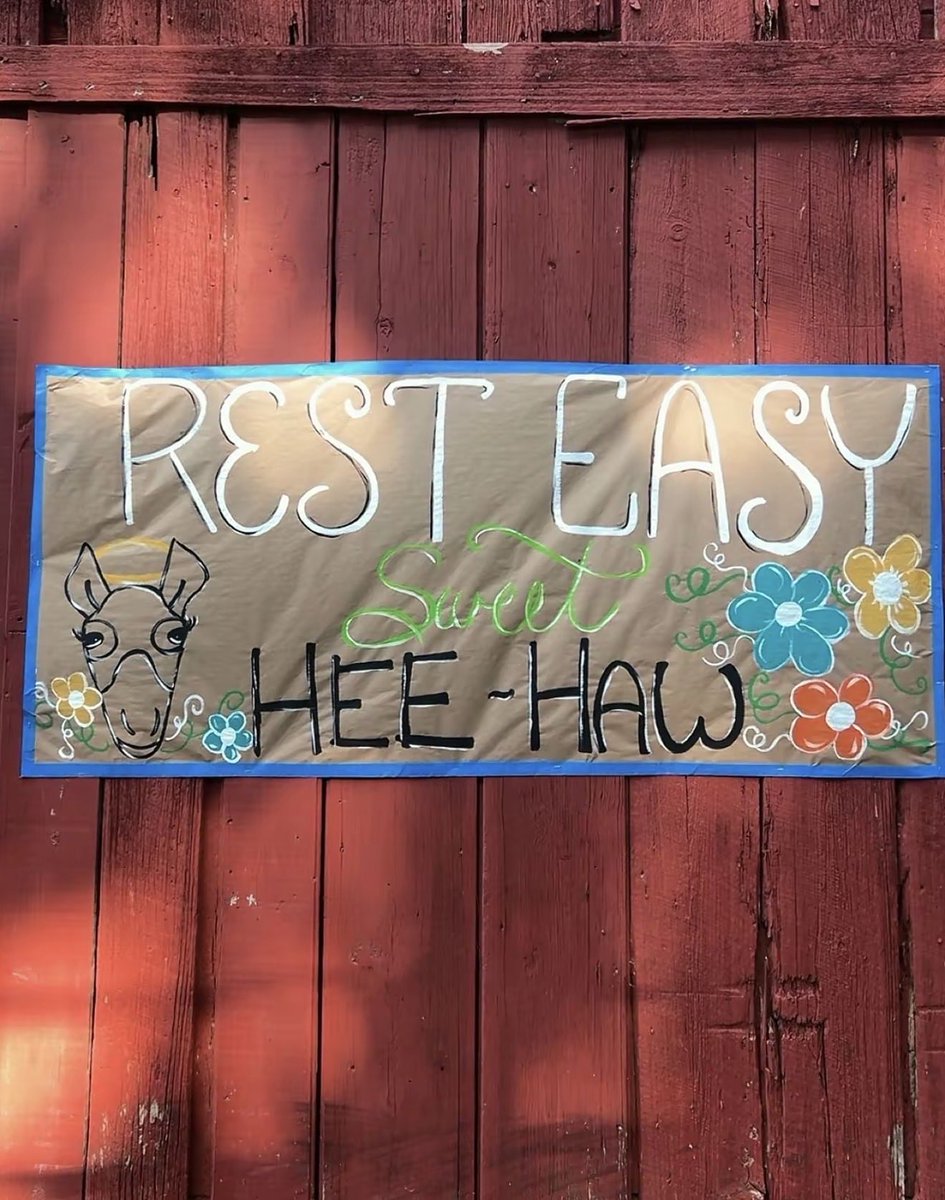 Justice4HeeHaw's tweet photo. Images from the funeral. 
Rest easy, HeeHaw.  🫏🤍🪽 https://t.co/N3XaM57p5s