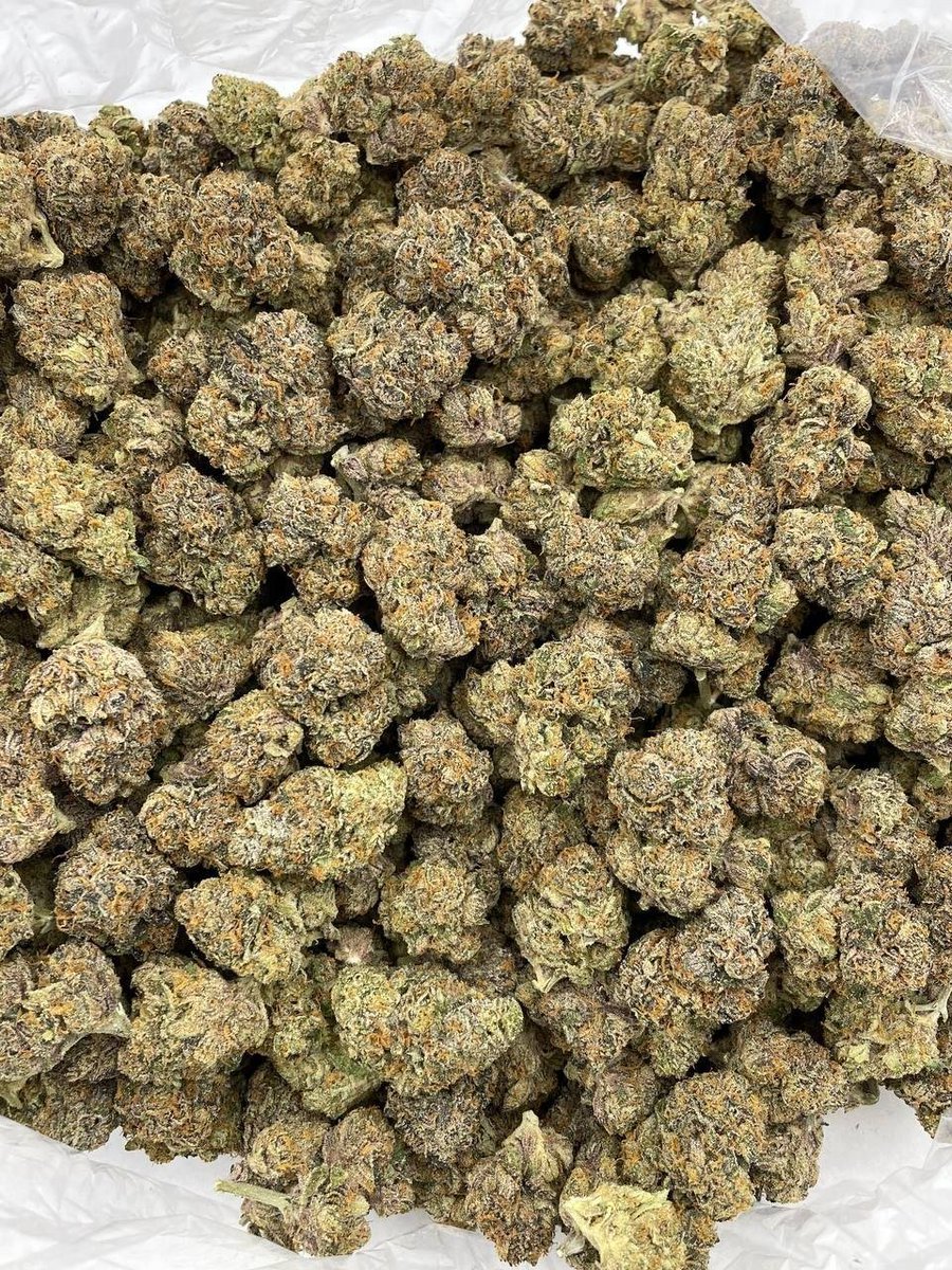 dolphin_disp_'s tweet photo. PEANUT BUTTER MOCHI  

P  $1000
HP $500
QP $300

WHO NEED?? https://t.co/j75Sw1l4Jq